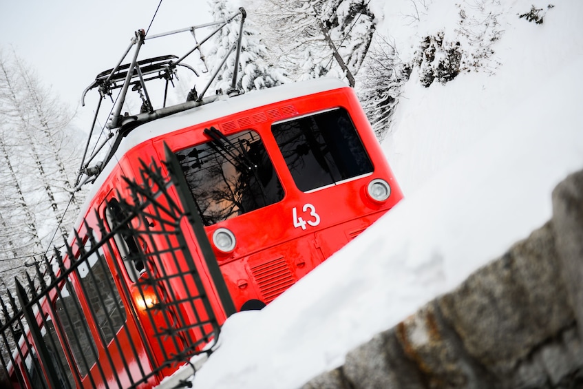 Chamonix Mont-Blanc & Mountain train from Geneva