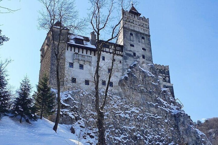 Bran Castle, Bear Sanctuary and Palinca from Brasov with Tickets