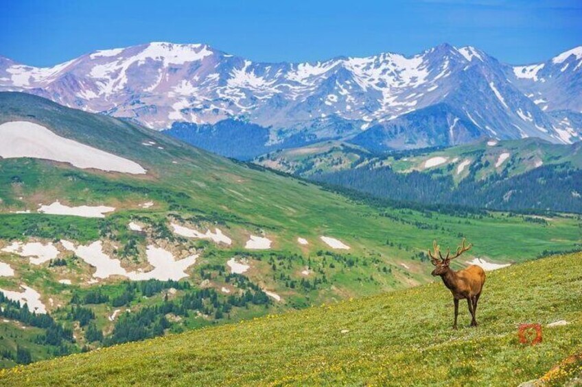Self-Guided Audio Driving Tour in Rocky Mountain National Park