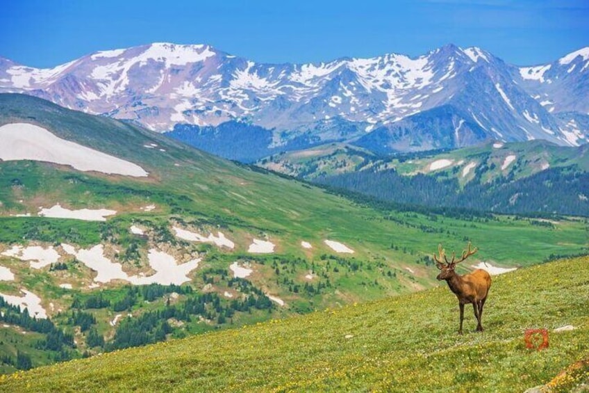 Self-Guided Audio Driving Tour in Rocky Mountain National Park