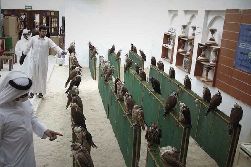 Authentic Qatari Food At Souq Waqif & Culture Msheireb Downtown Tour