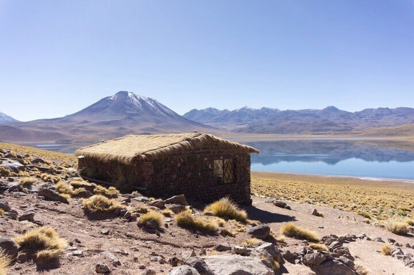 Piedras Rojas + Altiplanic Lagoons and Salar de Atacama
