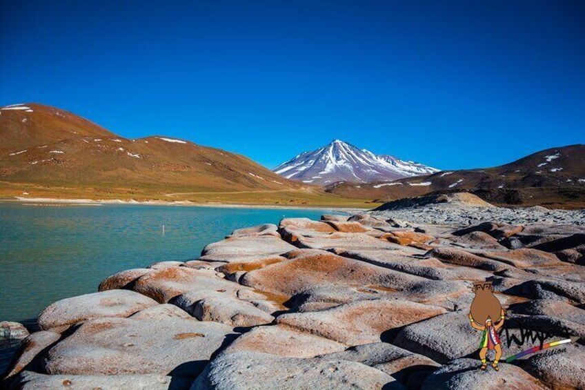 Piedras Rojas + Altiplanic Lagoons and Salar de Atacama