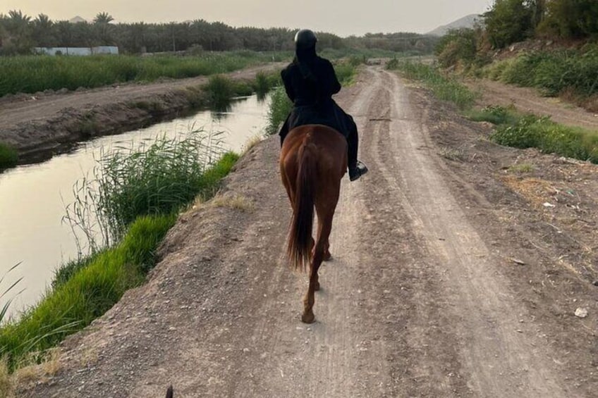 Horse Riding through beautiful nature in Madinah