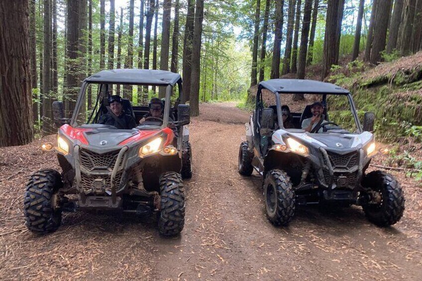 Private Offroad Buggy Driving Experience pickup included