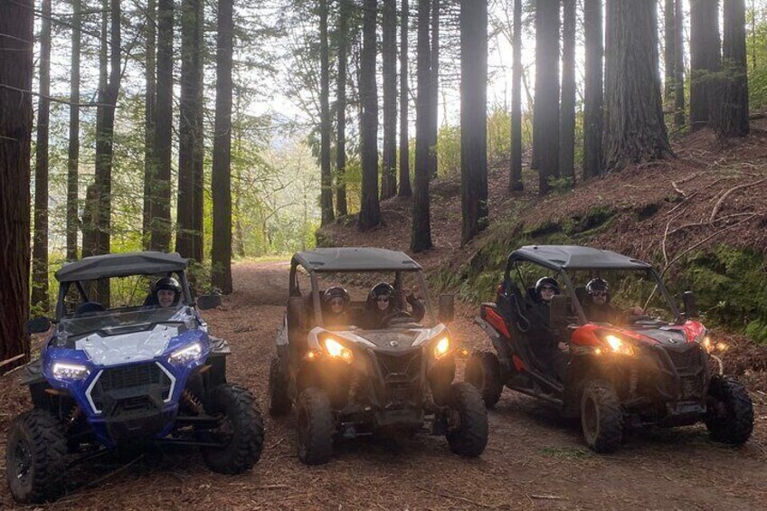 Off-Road Buggy Driving Experience