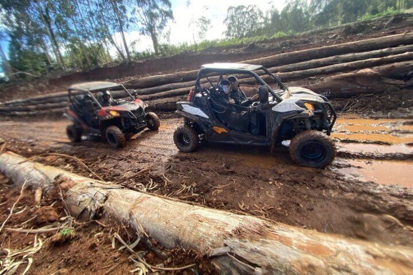 Off-Road Buggy Driving Experience