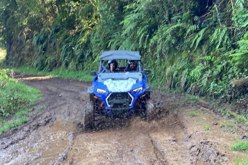 Off-Road Buggy Driving Experience