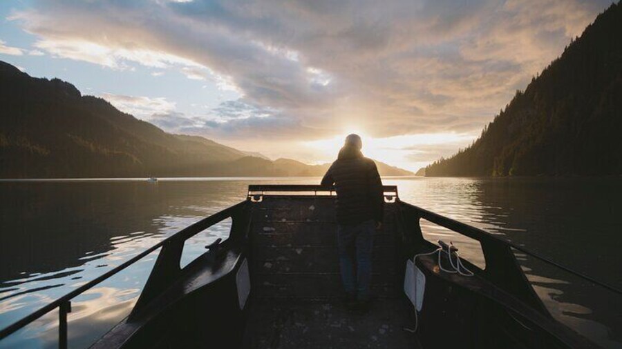 Alaska Wildlife Tour in Kachemak Bay