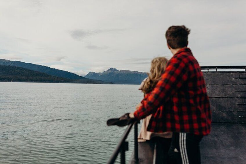 Alaska Wildlife Tour in Kachemak Bay