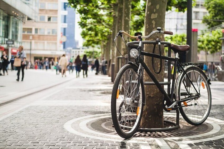 Bike Tour of Frankfurt Top Attractions & Nature with a Guide