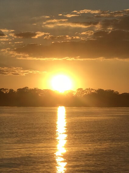 Two Hour Sunset Cruise of the Chain of Lakes Winter Haven