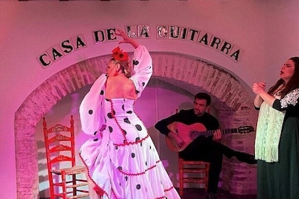 Biglietto per lo spettacolo di flamenco Casa de la Guitarra