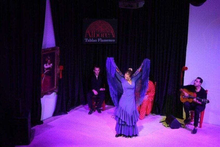 Flamenco Show in the Center of Granada