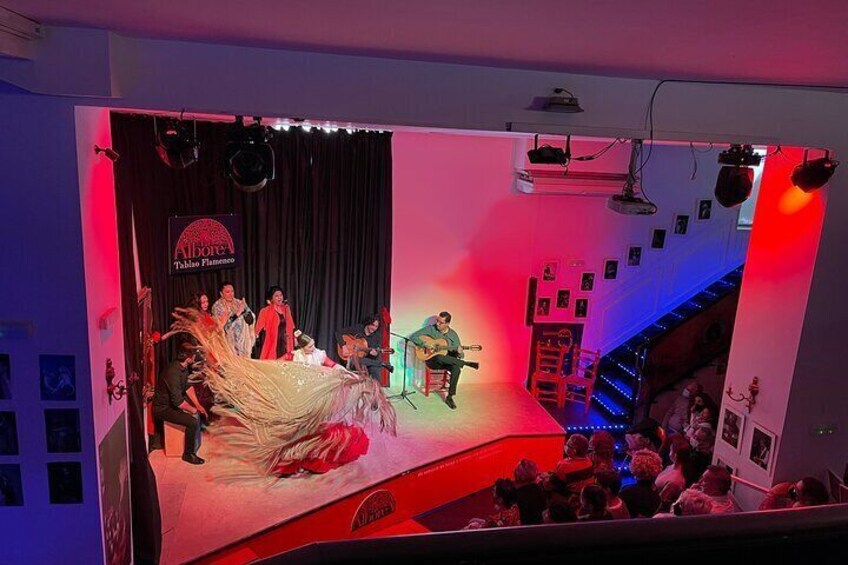 Flamenco Show in the Center of Granada
