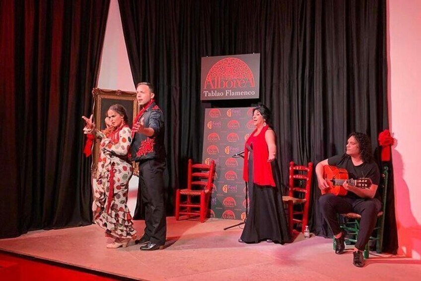 Flamenco Show in the Center of Granada