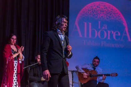 Flamenco Show i sentrum av Granada