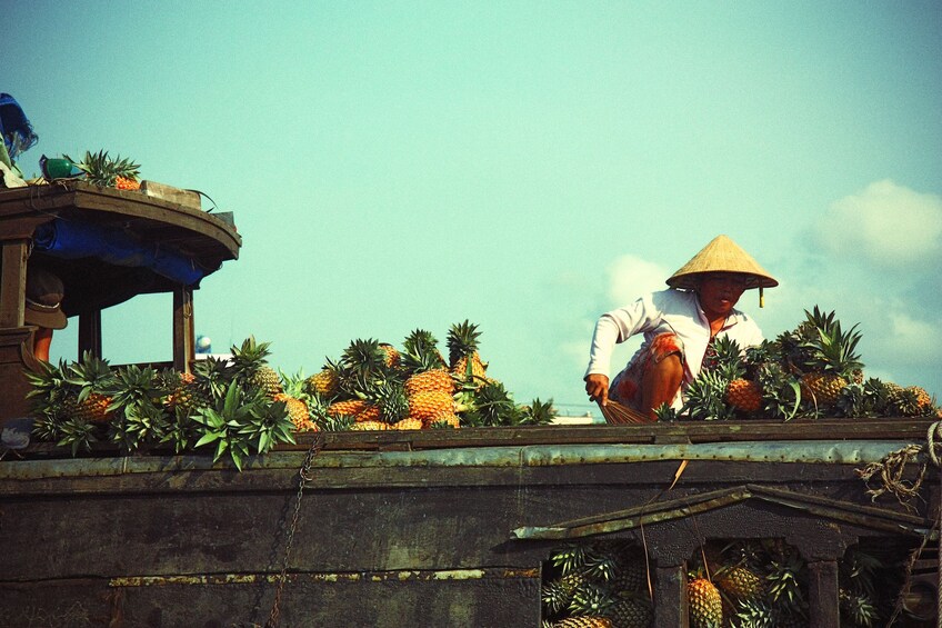 Local transporting fresh pineapples in Ho Chi Minh City