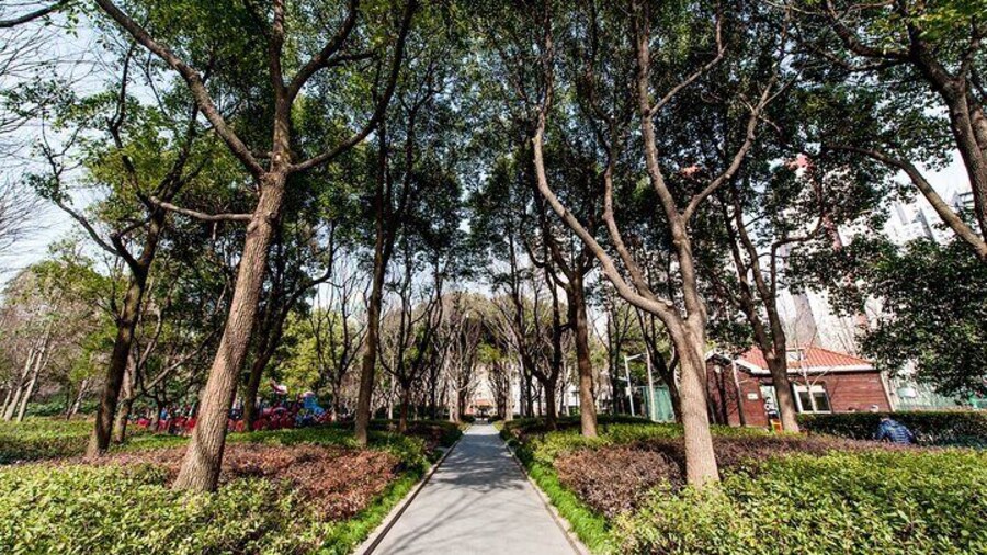 Private Walking Tour: Xintiandi and Hengshan Road in Shanghai