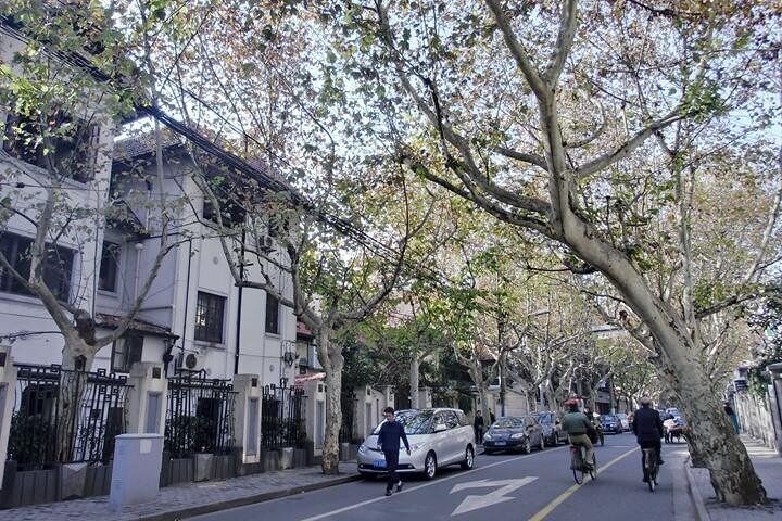 Shanghai Streets