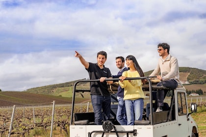 Lissabon Wein Tour mit 4WD Weinbergen Erfahrung