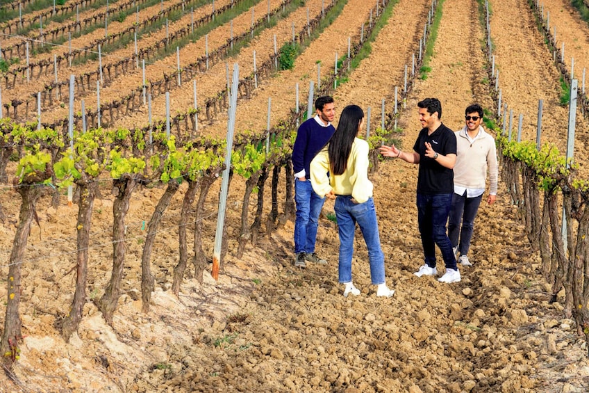 Lisbon Wine Tour With 4WD Vineyards Experience 