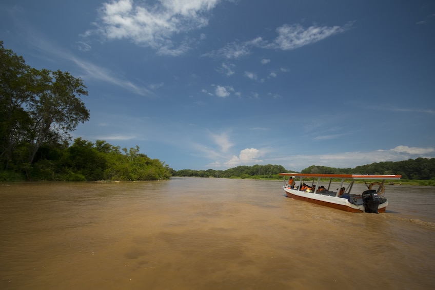 View of a boat ride on Tárcoles River