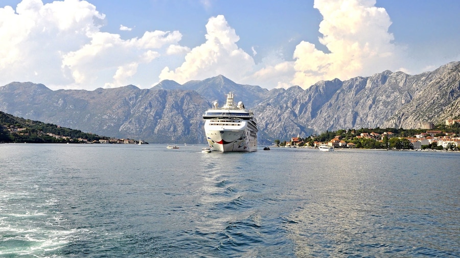 Day Tour of Budva and Kotor from Tirana