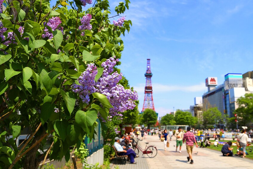 Sapporo Private Day Tour