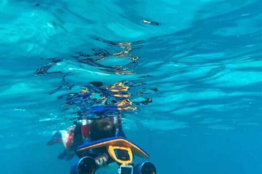Snorkeling with Sea Scooters and Sea Adventure