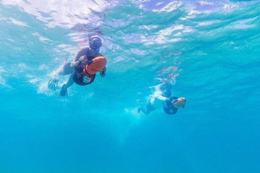 Snorkeling with Sea Scooters and Sea Adventure