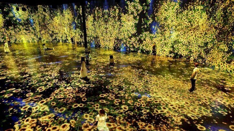 Miami: Superblue Miami Immersive Art Experience Ticket