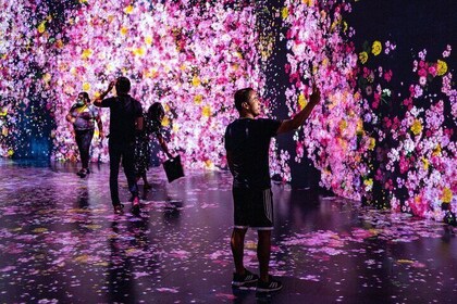 Boleto para la experiencia de arte inmersivo Superblue Miami en Miami