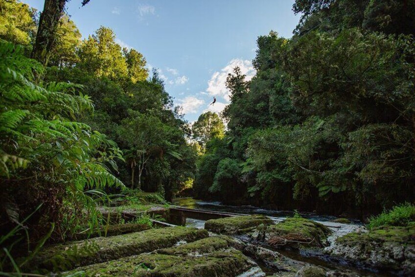 Okere Falls Zipline Experience