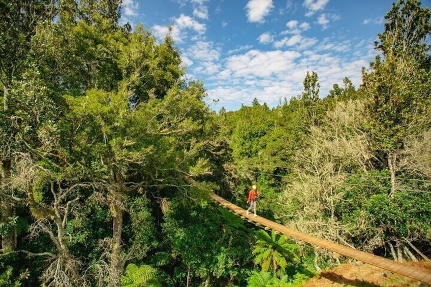 Okere Falls Zipline Experience