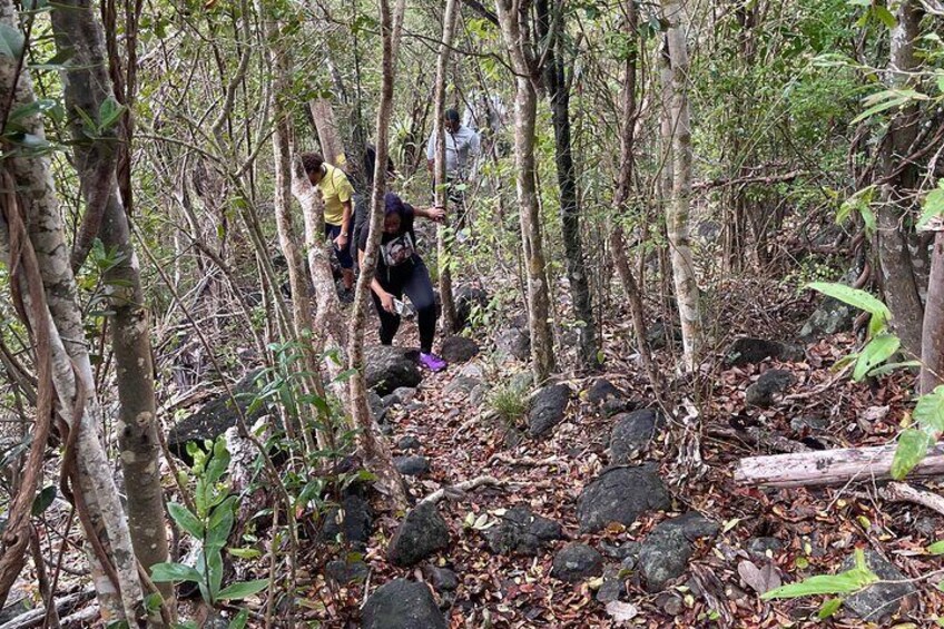 Private Hiking Tour in British Virgin Island with the Best 360 View