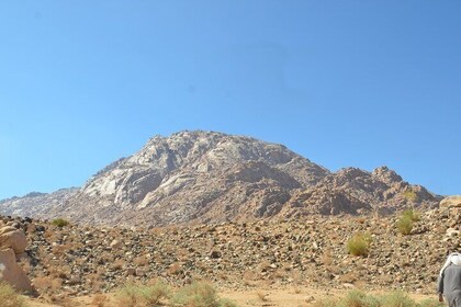 Fuld dag Jabal Al Lawz med bibelske steder besøg