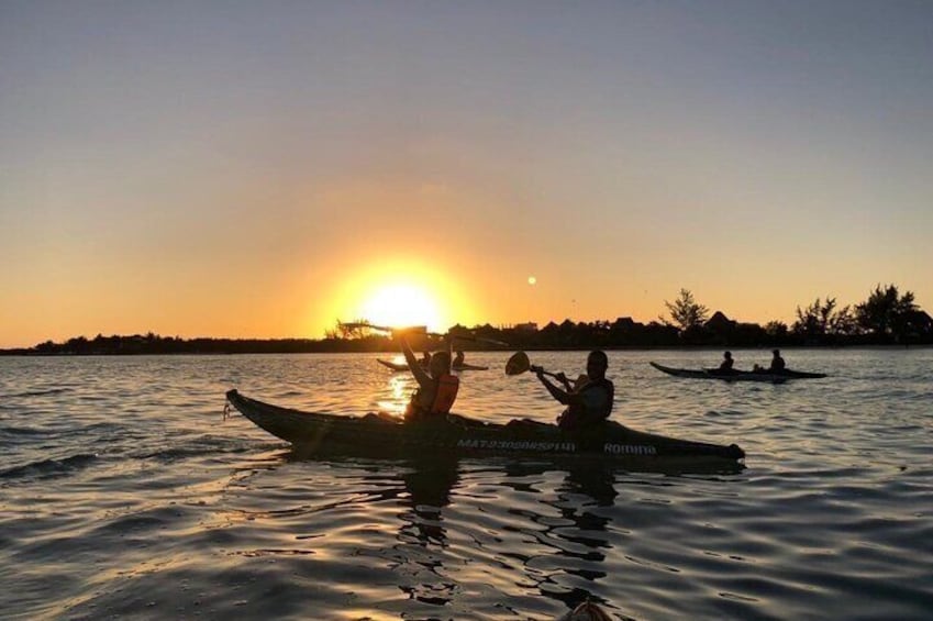 Kayak Mangroves Sunrise Experience