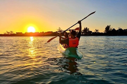 Kayak Mangroves Sunrise Experience 