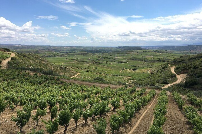 A Sip-By-Sip Tour of 3 Boutique Rioja Family Wineries (Private Tour with Lunch)