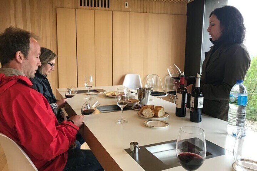 A Sip-By-Sip Tour of 3 Boutique Rioja Family Wineries (Private Tour with Lunch)