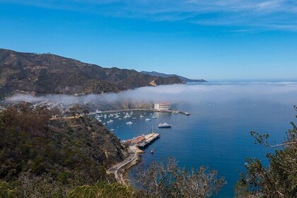 Visite d'aventure intérieure de 2 heures sur l'île de Catalina