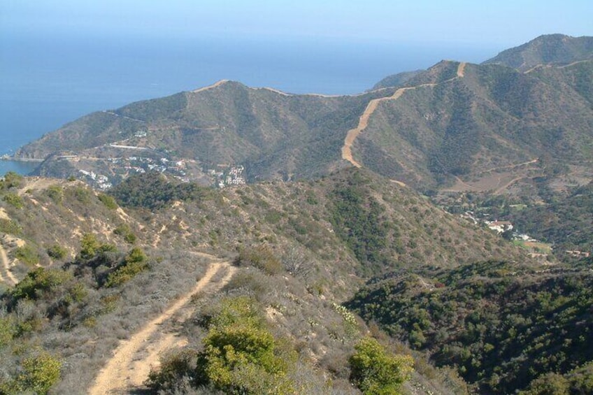 Catalina Island 2 hour Shared Tour