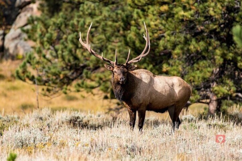 Self-Guided Audio Tours for the Canadian Rockies