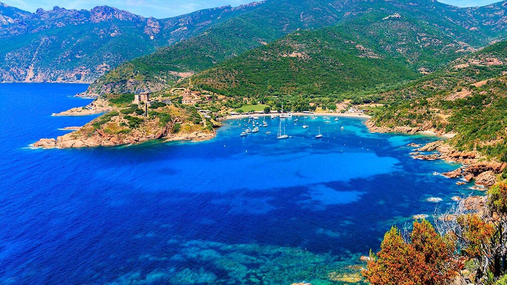 Picture 2 for Activity Ajaccio: Full-Day Corsica West Coast Guided Boat Tour
