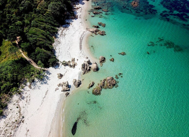 Picture 3 for Activity From Porticcio: Speedboat Tour to Cupabia Beach with Stops