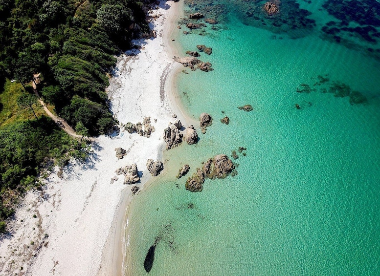 Picture 3 for Activity From Porticcio: Speedboat Tour to Cupabia Beach with Stops