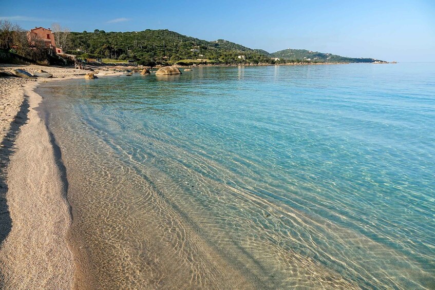 Picture 1 for Activity From Porticcio: Speedboat Tour to Cupabia Beach with Stops