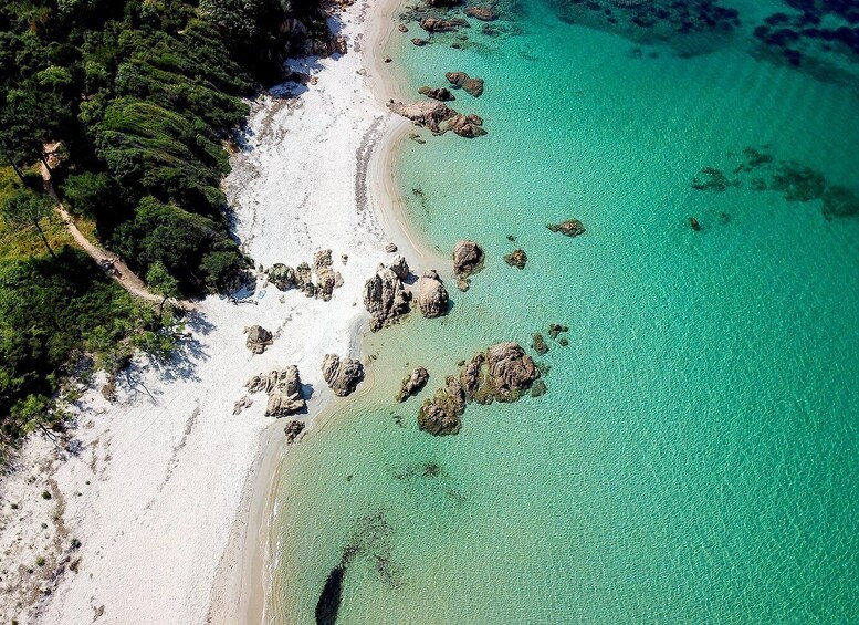 Picture 3 for Activity From Porticcio: Speedboat Tour to Cupabia Beach with Stops