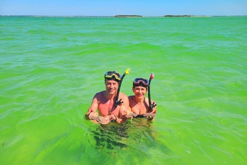 Snorkel around and find amazing wildlife!